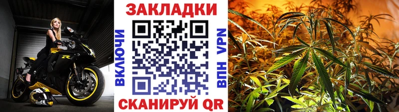 Псилоцибиновые грибы Обоянь