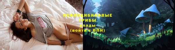 шишки Гусь-Хрустальный
