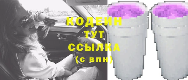 шишки Гусь-Хрустальный