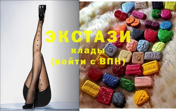 ECSTASY Горняк
