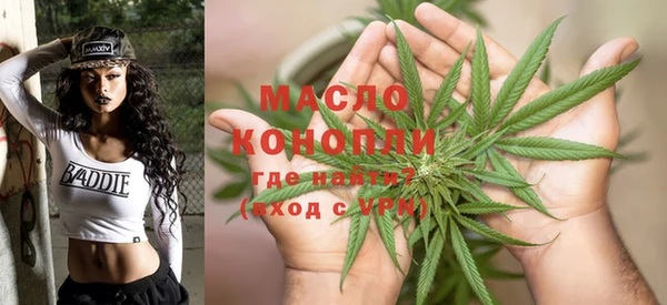 ECSTASY Горняк