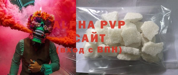 ECSTASY Горняк